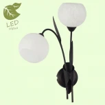 Бра Lussole Loft Bagheria GRLSF-6291-02 (220V, цветы, шарики, листья, IP21)