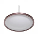 Подвесной светильник L'Arte Luce Rowdy L21761.02 (LED, 220V, на проводе, круглые)