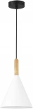 Светильник подвесной Evoluce Arket SLE1255-413-01 Черный/Белый E27 1*40W (220V, на проводе)