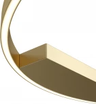 Потолочный светильник круглый Maytoni Rim MOD058CL-L50BSK (LED, 220V, кольцо)