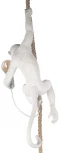 Подвесной светильник Loft It Monkey 10314P (220V, обезьяна)
