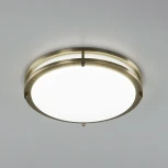 Настенно-потолочный светильник Citilux Бостон CL709323N (LED, 220V, диммер, круглые, IP44)