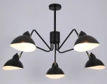 Потолочная люстра на штанге Rivoli Geraldine 4101-305