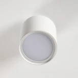 Накладной светильник DeMarkt Информ 851011801 (220V, круглые)