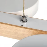 Подвесной светильник светодиодный Ritter Racemo 51608 2