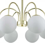 Потолочная люстра на штанге Indigo Voga V000325