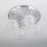 Потолочная люстра Citilux Самба CL158142 (220V)