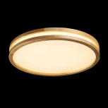 Потолочный светильник круглый светодиодный De City Норден 660015401