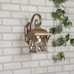 Настенный фонарь уличный Elektrostandard Cassiopeya D (220V, IP44)