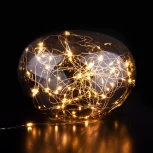 Гирлянда Eurosvet 400-008 теплый белый