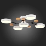 Потолочная люстра на штанге Evoluce Faema SLE6006-502-05