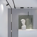 Трековый светильник магнитный Elektrostandard Flat Magnetic 5W 4000K Unity чёрный 85092/01 (LED, 48V)