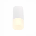 Точечный светильник ST Luce St100 ST100.512.01 (220V, круглые)