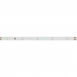Светодиодная лента RT 2-5000 24V Cool 8K 0.5x (3528, 150 LED, LUX) (Arlight, 2.9 Вт/м, IP20) 019916(1)