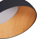 Потолочный светильник круглый светодиодный Zortes Baum ZRS.01243.07 (220V, круглые, IP21)