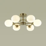 Потолочная люстра Lumion Penelopa 4549/6C