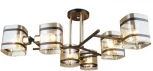 Потолочная люстра Seven Fires Klaso SF3316/6C-BK-FGD