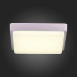 Потолочный светильник Evoluce Taddio SLE200212-01 (LED, 220V)