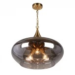 Подвесная люстра Aployt Franko APL.601.16.03 (220V, на цепи, шар)