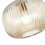 Подвесной светильник ST Luce Gran SL1154.313.01