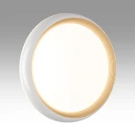 Настенно-потолочный светильник Sonex Tofiq White 7650/DL PALE SN пластик/белый/золотой LED 48Вт 4000К D380 IP43 (220V, круглые)