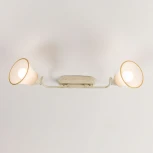 Спот на штанге Citilux Прованс CL511524 (220V)