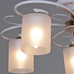 Потолочная люстра на штанге Reluce 00738-0.3-05 (220V)