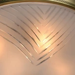 Потолочная люстра MW-Light Афродита 317015004