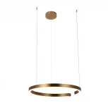Подвесной светильник Loft IT Ring 10013L (LED, 220V, на тросе, кольцо)