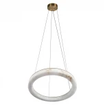 Подвесной светильник светодиодный кольцо Loft It Mondrian 10408/600 (220V, на тросе, кольцо)