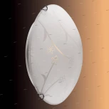 Настенно-потолочный светильник Sonex Luaro 110/K