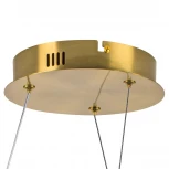 Подвесная люстра светодиодная Lightstar Corinto 637063 (220V, на тросе)