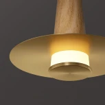 Подвесной светильник Curtiss Wood ImperiumLoft Curtiss01 (189880-23) (LED, 220V, на проводе)