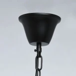 Подвесная люстра MW-Light Гослар 498015103