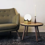 Интерьерная настольная лампа iLamp Golden 10213T/1-D200 MGL-WH (220V, выключатель, шар)