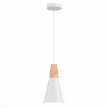 Подвесной светильник Evoluce Modica SLE125153-01