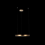 Подвесной светильник Loft IT Ring 10013M (LED, 220V, на тросе, кольцо)