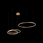 Подвесной светильник Loft IT Ring 10017/3S (LED, 220V, на тросе, кольцо)