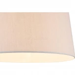 Торшер для чтения Maytoni Bergamo MOD613FL-01W (220V, выключатель, круглые)