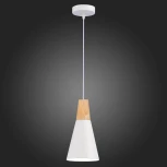 Подвесной светильник Evoluce Modica SLE125153-01
