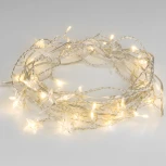 Гирлянда Eurosvet 100-002 теплый белый