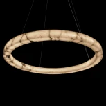 Подвесной светильник светодиодный кольцо Loft It Mondrian 10408/800 (220V, на тросе, кольцо)