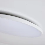 Светильник светодиодный настенно-потолочный Lightstar Arco Eco 225720