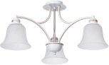 Потолочная люстра Arte Lamp Emma A2713PL-3WG