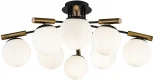 Потолочная люстра Freya Paolina FR5011CL-08B (220V, шарики)