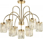 Потолочная люстра Odeon Light Vassa 4987/9C