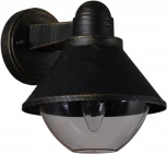 Настенный фонарь уличный Reluce 08298-9.2-001SJ BKG (220V, фонарь, IP54)