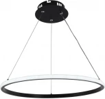 Подвесной светильник Wedo Light Lisel WD6021/1P-BK