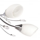 Потолочная люстра MW-Light Нежность 356015105