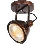 Спот Favourite Industria 1898-1W